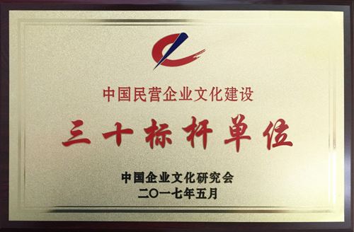 中國民營企業(yè)文化建設三十標桿單位